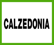 Calzedonia Coupon Codes