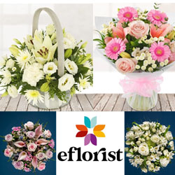 eFlorist Coupons